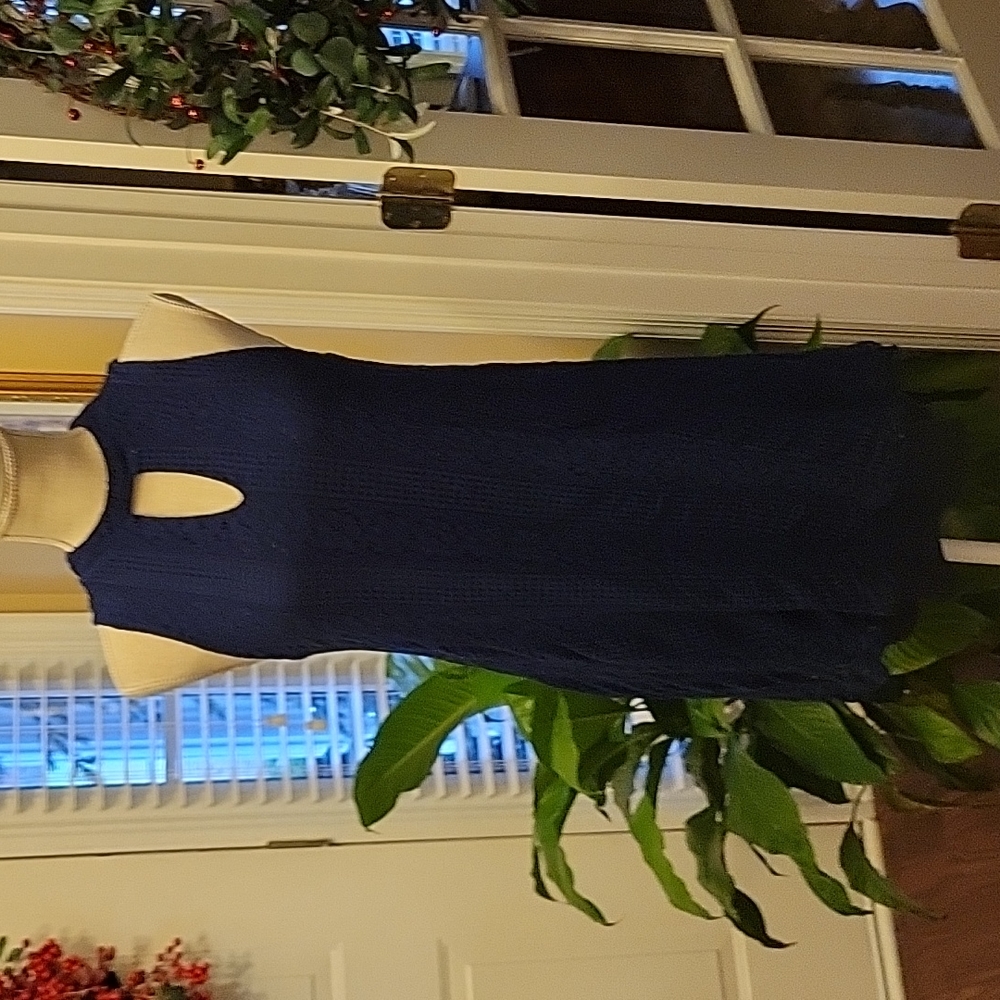 Everly navy blue lace dress stand-up collar keyhole openings fully lined S EUC…